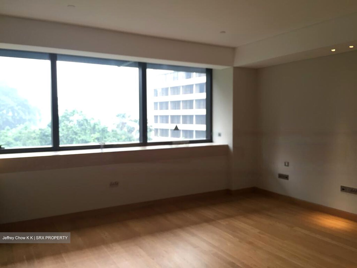 Hana (D10), Condominium #478643021